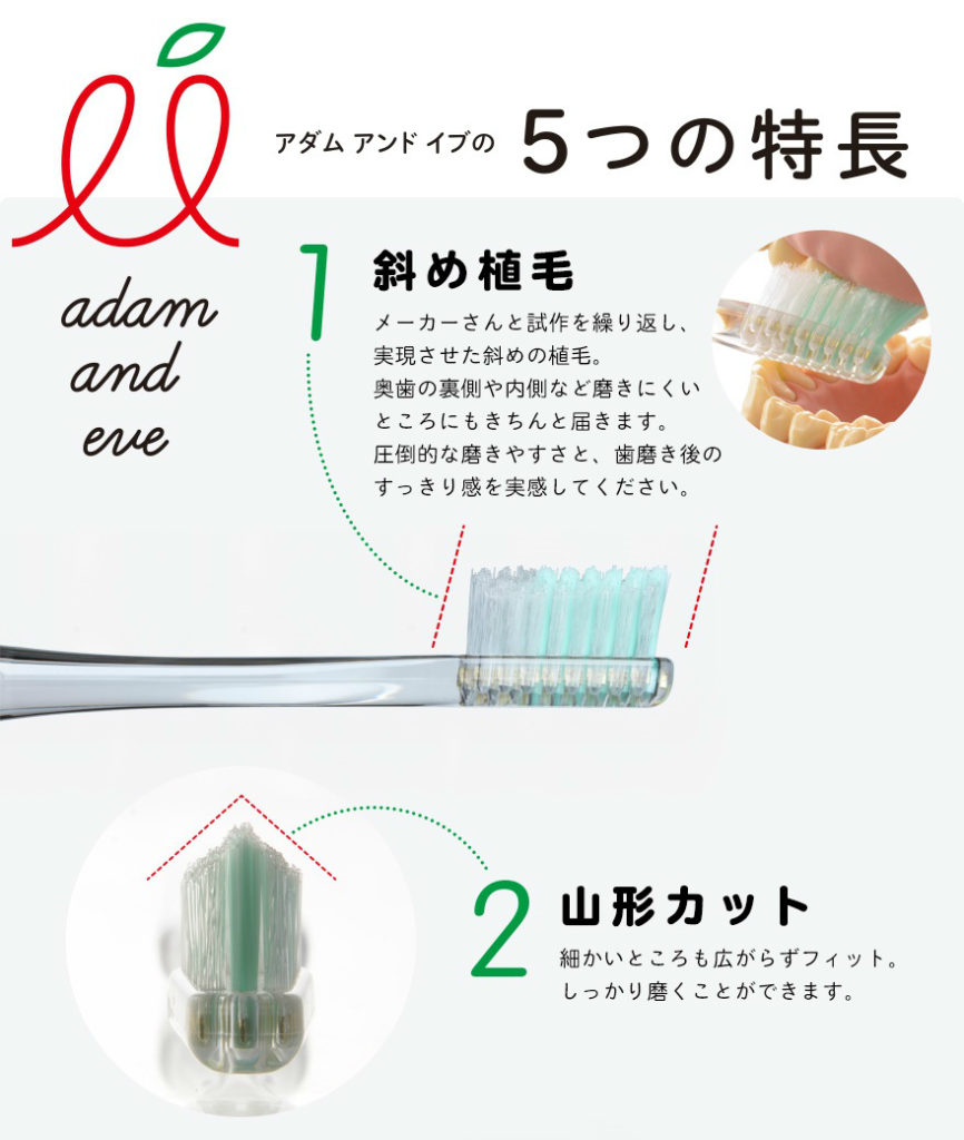 アダムアンドイブ歯ブラシ５つの特長