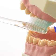 【a&e20°歯ブラシ】奥歯の裏側、ちゃんと磨けていますか？🦷