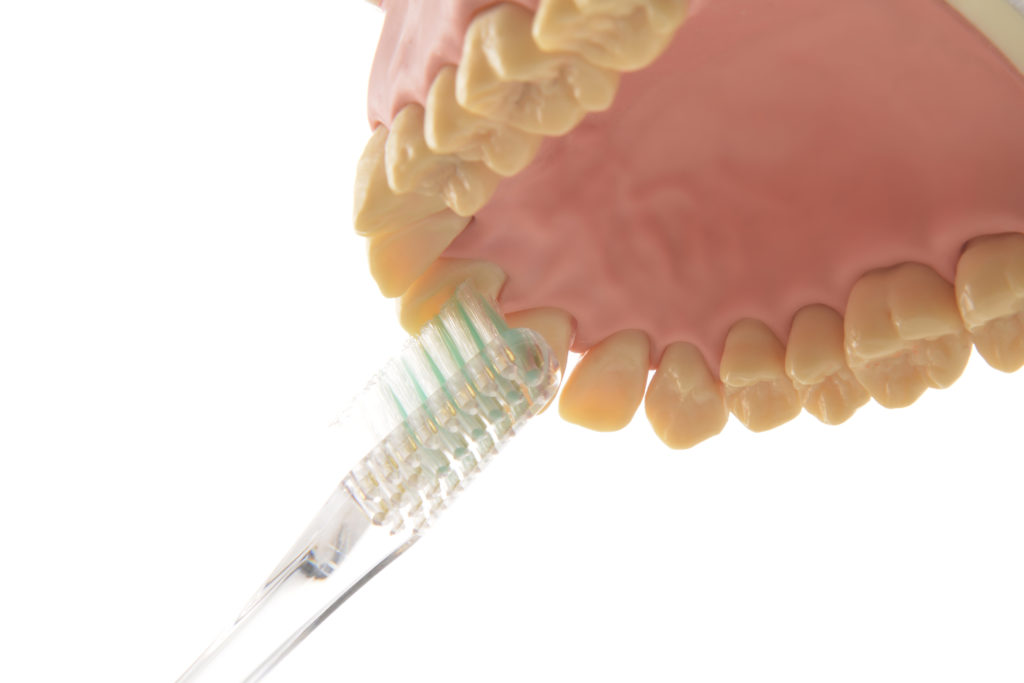 前歯の裏側を磨く