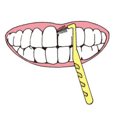 歯間ブラシの選び方