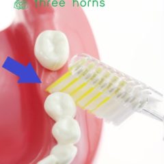残った歯の磨き方
