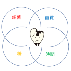 むし歯の原因は４つ