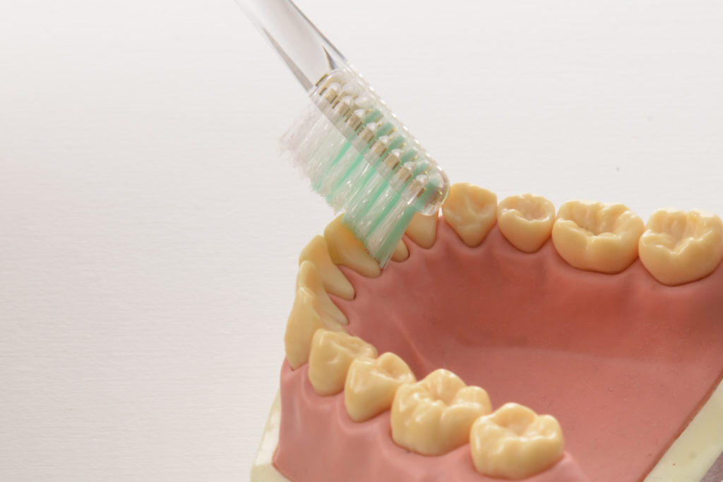 歯磨き前歯の裏側