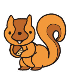 【歯の形と食べ物】人と 動物の歯