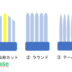【歯ブラシ】毛先の形を比較