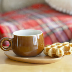 【むし歯・歯肉炎】原因